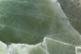 5.3" Polished Garnierite Slab - Madagascar - #183062-1